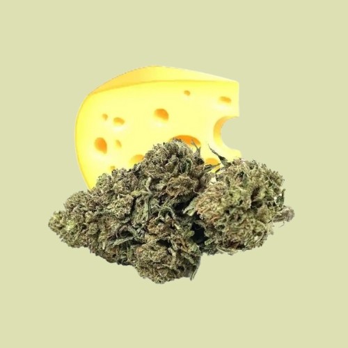 Cheese - Fleur de CBD