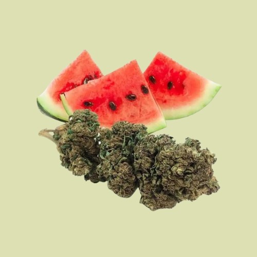 Watermelon transformée - Fleur de CBD - Produit CBD sur Le Marché du CBD
