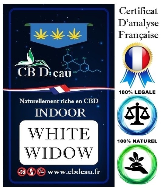 White Widow - Fleur de CBD